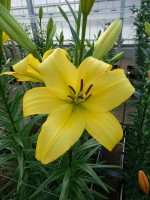 [5588 VH18 No02.JPG]